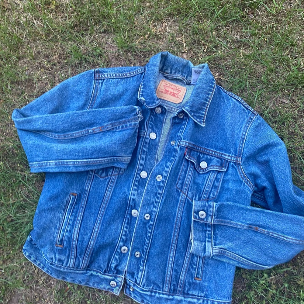 Levi Jean Jacket - image 1